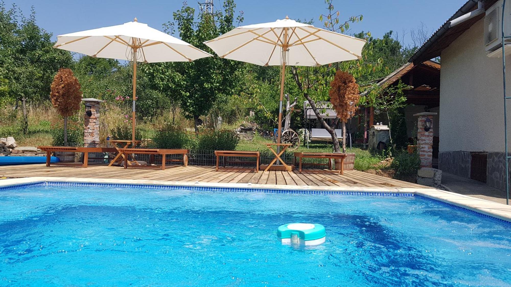 Къща За Гости Каза Роза - Swiss Style Chalet Casa Rosa Guest House キュステンディル エクステリア 写真
