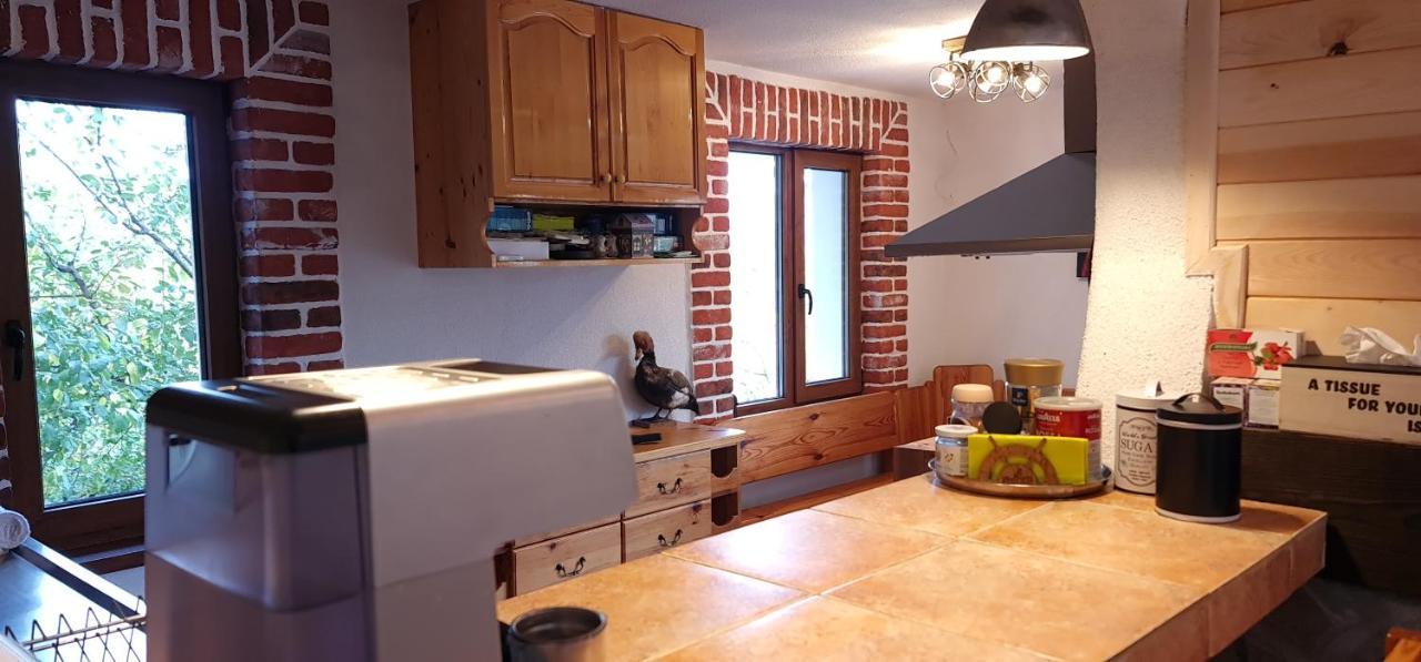 Къща За Гости Каза Роза - Swiss Style Chalet Casa Rosa Guest House キュステンディル エクステリア 写真