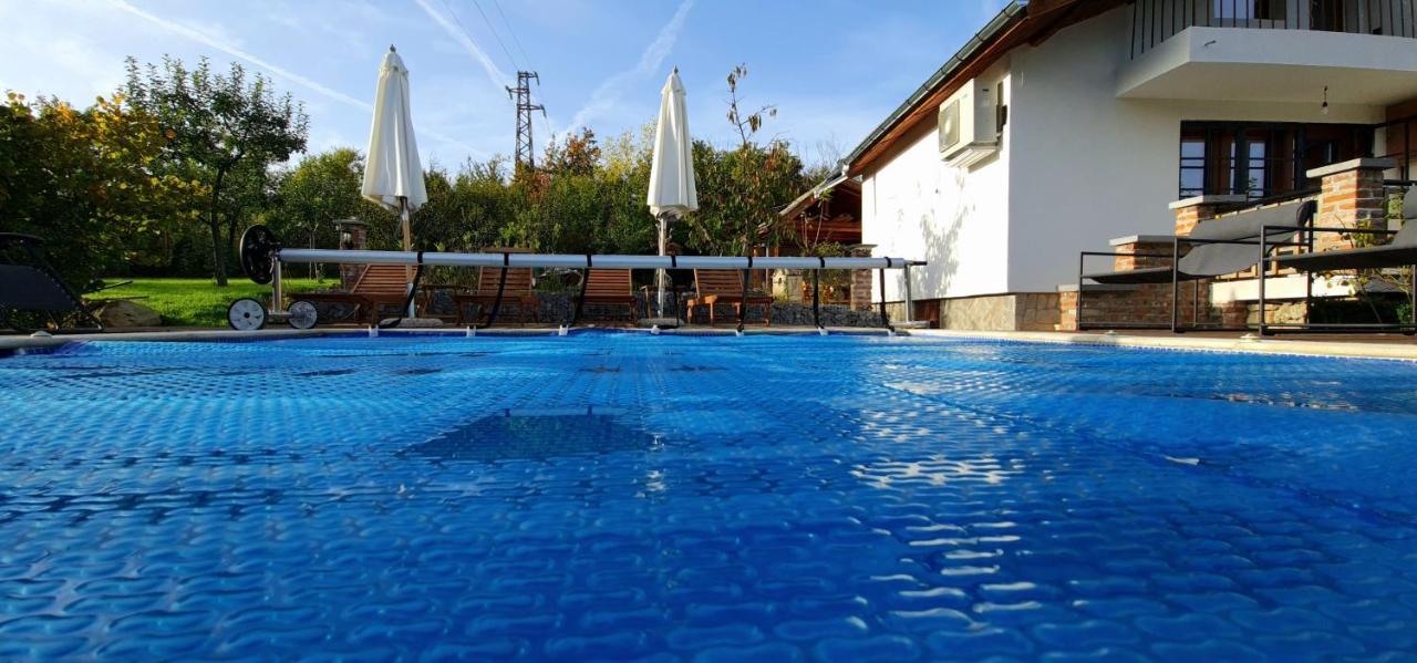 Къща За Гости Каза Роза - Swiss Style Chalet Casa Rosa Guest House キュステンディル エクステリア 写真