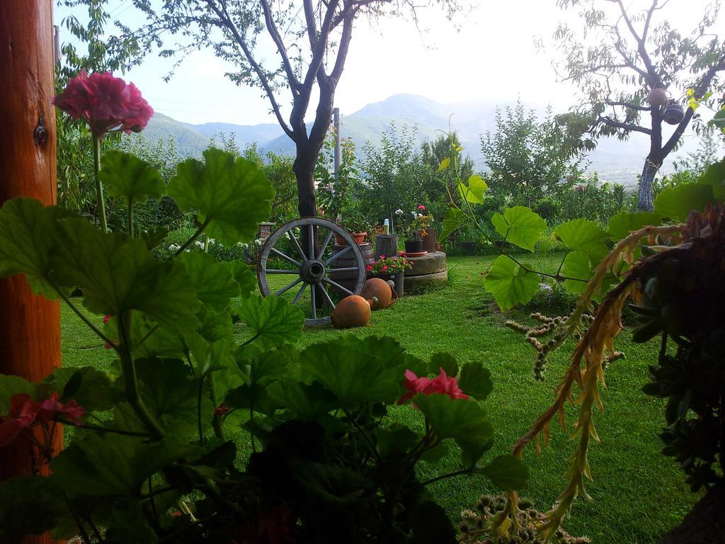 Къща За Гости Каза Роза - Swiss Style Chalet Casa Rosa Guest House キュステンディル 部屋 写真